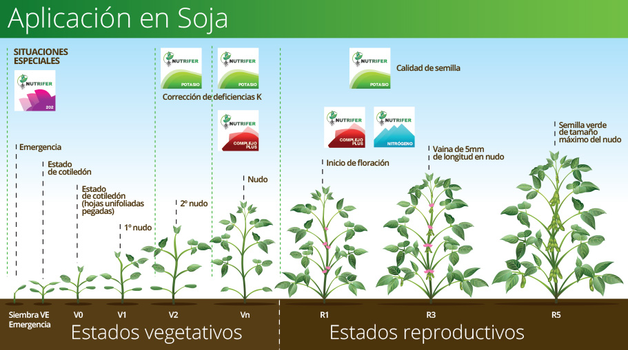 NUTRIFER - aplicaciones en Soja NUTRIFER - aplicaciones en Soja